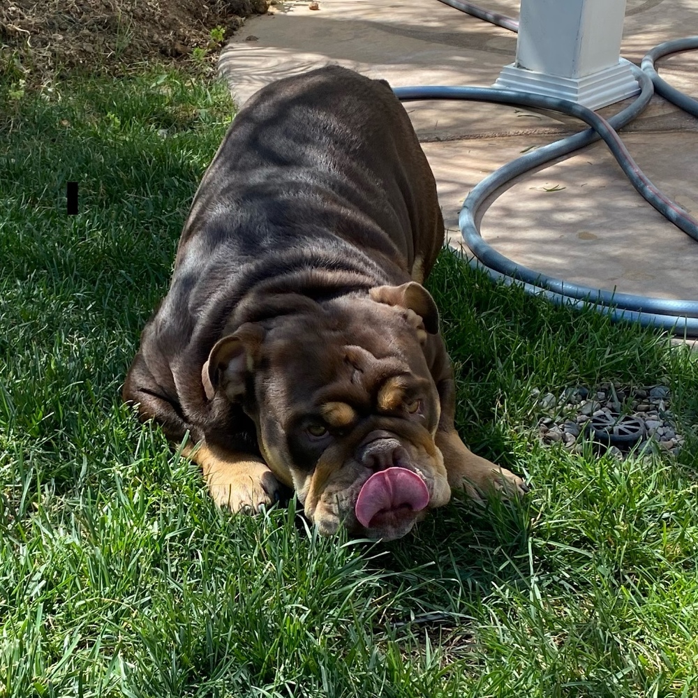 Meet your Posher, Adrian